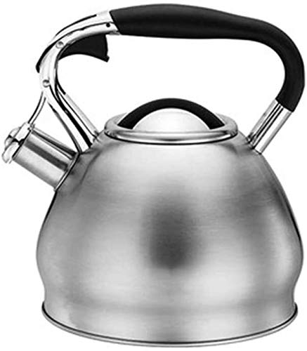 Théière sifflet inox 3L SHISHI pour plaque induction et gaz durable