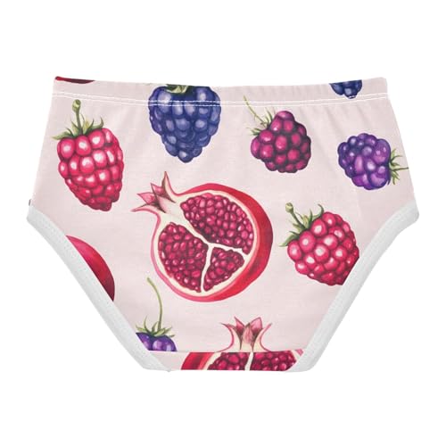 Watercolor Pomegranates Raspberries Girls Underwear Toddler 2t Cotton Panties Little Girl Cartoon Briefs Kids Undies2