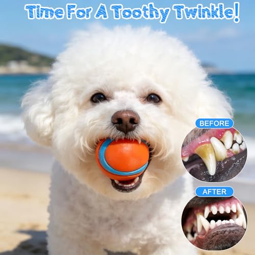 Juguetes flotantes para perros EXPAWLORER 4 piezas miniatura 6