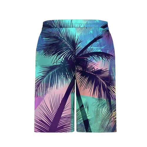 Mens Hawaiian Beach Shorts Graphic Print with Pockets Workout Clothes for Men Gym Moisture Wicking Board3