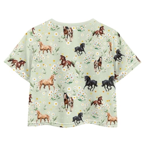 Image of Girls Fashion Crewneck Tee Shirts Casual Short Sleeve Crop Top Summer Outfits 5-14 Years Old