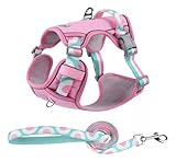 UNA MASCOTA Arnés para Perro - Arnés Pechera para Perros, Antidesgarro, Ergonómico, Reflectante y Transpirable (Rosa con...