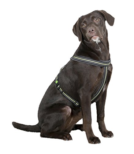 Kerbl Pet Geschirr Xenos 20mmx40-60cm, schwarz/Neongelb