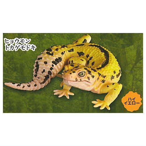 Amazon | カプセルQ ヤモリ大全 エクストラカラーVer. [1.ヒョウモン