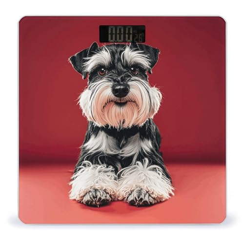 Báscula digital para baño de vidrio templado Schnauzer miniatura 1