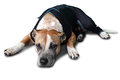 Image of BENEFAB Therapeutic Comfort Suit for Dogs - Lightweight Far-Infrared Jacket for Canines of All Ages - Relaxing FIR Compression Suit Soothes Muscles, Joints, and Pain (X-Small)