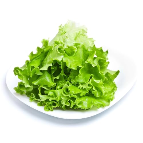 Image of Seeds Collection (Lettuce)