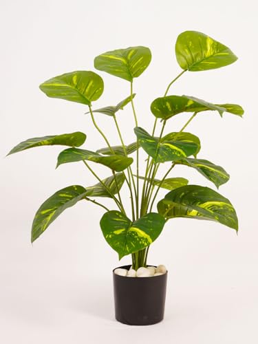 Image of ARICK Decor 2.1Ft Artificial Money Plant with 18 Leaves, 65cm Tall Faux Tropical Potted Tree in Black Pot, Realistic Large Silk Leaf Fake Plant for Living Room, Office & Home Decor