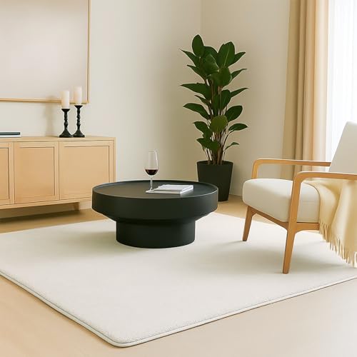 VOUNOT ® Tapis de Salon Moderne Ultra Doux Tapis à Poils Ras Lavable en Machine avec Un sous-Tapis...