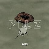  Pilz