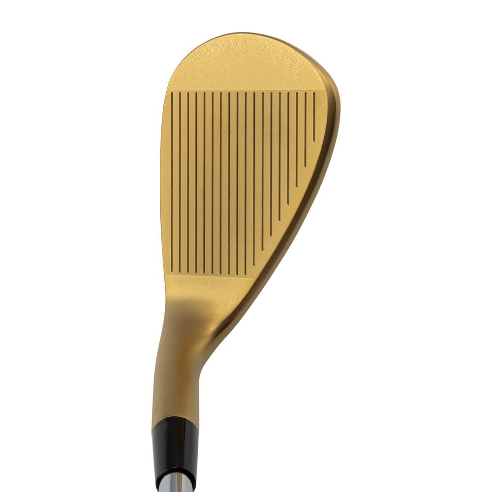 Amazon.co.jp: ドルフィンウェッジ ゴールド DW-123 True Temper