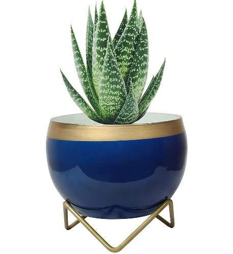 Image of S.L Plants Pots & with Stand -Decorative Pots for Indoor Plants Rust Free Metal Planter & Living Room, Balcony (Blue)