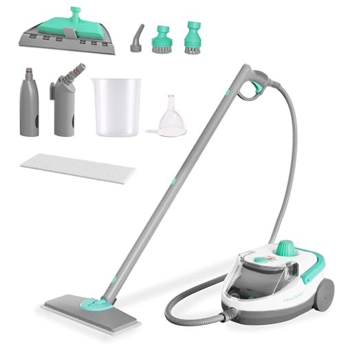 HAUSHOF Pulitore a Vapore 1800W, Serbatoio 1,5L, 4,0bar, Riscaldamento 8 Min, Vapore 30 Min, 17 Accessori, Cavo 3m, Vaporetto per Pavimenti, Tappeti, Finestre, Cucina, Bianco-Verde