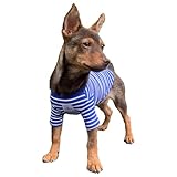 Picture of YQYS Pet T-Shirts Thick Striped Cotton Tee Shirt for Small Dogs and Cats Puppy Clothes Apparel Clothing for Teacup Chihuahua Yorkie Poodle Blue White Medium