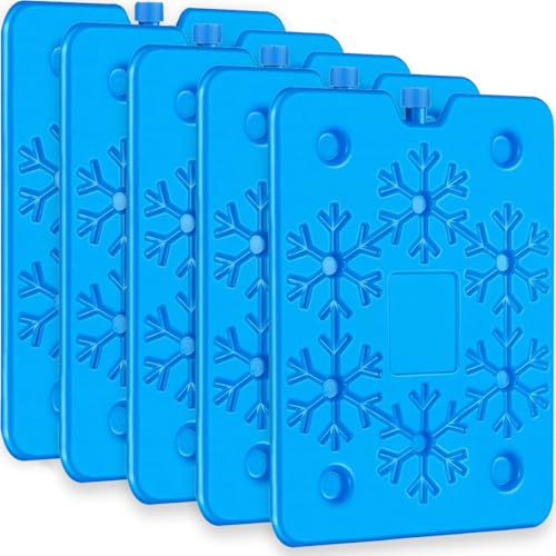 sunVigorous Lot de 5 Pain de Glace 800ml pour Glacière, Ultra-Plats 1,5cm & Anti-fuites – Éléments réfrigérants réutilisables pour Camping, Pique-Nique, pêche – Froid Longue durée, BPA Free (5)