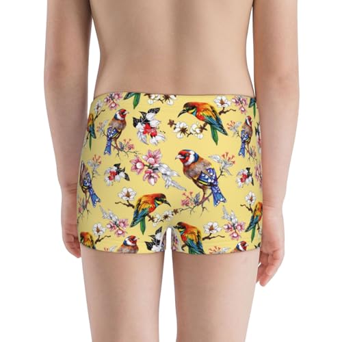Boys' Cotton Boxer Brief Soft Underwear-Bright Birds3