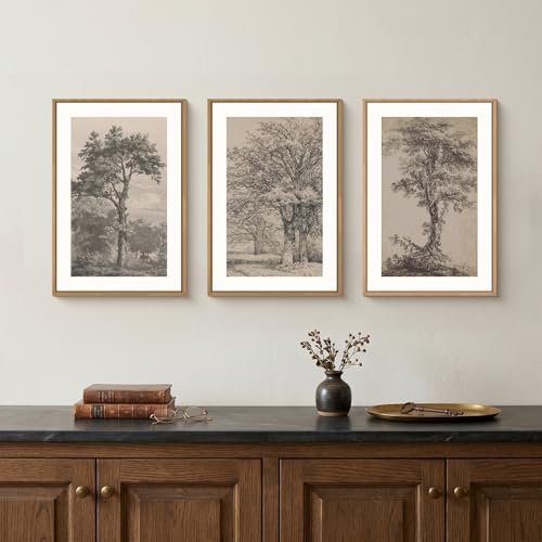 Image of KAIRNE Vintage Tree Sketch Framed Canvas Wall Art Set, Antique Tree Drawings Wall Decor, Retro Forest Art Prints, Modern Nature Landscape Artwork for Living Room, Bedroom, Farmhouse, Office-16 x24 x3