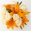 Orange & White