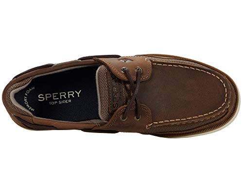 Image of Sperry Men's Surveyor2eye