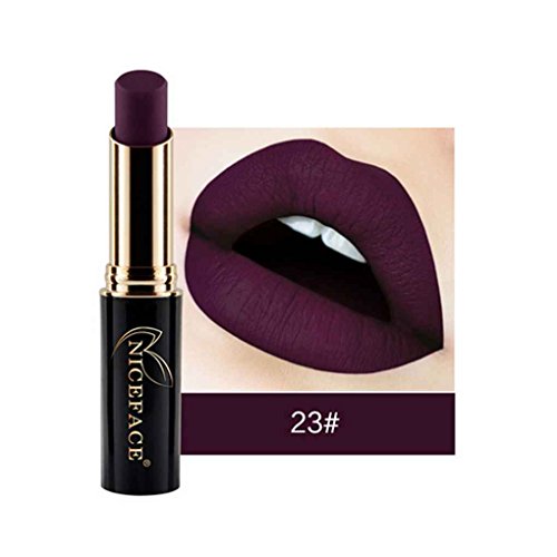 Floridivy 24 Colores NICEFACE Barra de Labios Mate Brillo de Labios a Prueba de Agua Larga duración de Labios Lápiz Labial del Maquillaje Desnudo del lápiz Labial