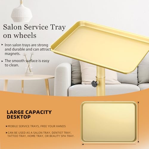 Image of Salon Senor Salon Tray on Wheels Tattoo Rolling Tray Salon Service Cart Height Adjustble Hair Service Color Tray Gold