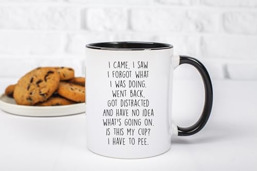 Gelid I Came I Saw I Forgot What I Was Doing Coffee Mug - Funny Senior Citizens Sarcastic Gifts Old People Elderly Mom Dad Grandma Grandpa - Presents Mothers Day Fathers Birthday - 11 oz Novelty Cup