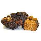 Chaga Mushrooms Whole 16 oz. Life Gourmet Shop