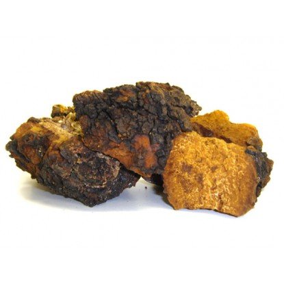 Life Gourmet Shop Chaga Mushrooms Whole 16 oz
