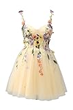 Beyonddress
