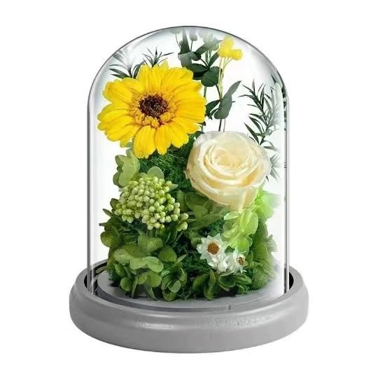 Amazon.co.jp: プリザーブドフラワー 向日葵 母の日 ひまわり