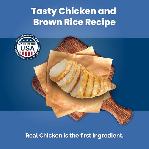 Blue Buffalo Life Protection Formula Chicken Toy Adult Dry Dog Food, 4 lb - image 3