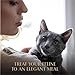 Sheba Perfect Portions Wet Cat Food Cuts in Gravy Variety Pack, Roasted Chicken Entree and with Sustainable Tuna, 2.6 oz. Twin-Pack Trays (12 Count, 24 Servings)