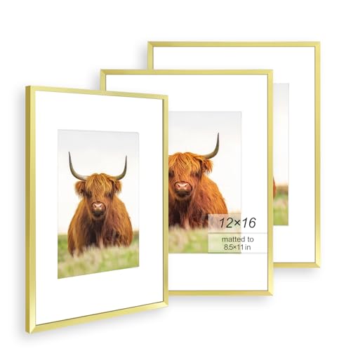 Golden State Art, 12x16 Picture Frame Set of 3, Gold Thin Border, Display Photo 8.5x11 with Mat or 12x16 Without Mat, Poster Frame for Wall Hanging Horizontal and Vertical