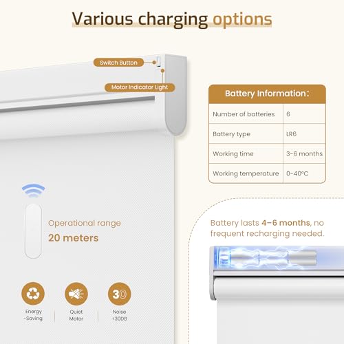 Grandekor Motorized Blinds with Remote Control, Liter-Filtering Roller Shade Electric Shades Cordless Smart Blinds for Bedroom Living Room Office,White(Light-Filtering),W33xH72