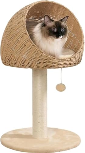 Rutexc ؐLbg^[A{EtA^@\A~jLƋAȃXy[XAo₷A܂ƂAȃ[vƖ{[