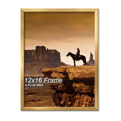 A PLUS MAX 12x16 Picture Frame Gold Light Weight Wall Mount
