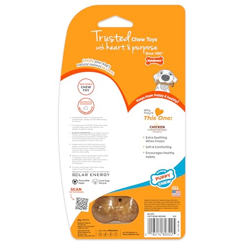 Nylabone Kauknochen für Welpen, normale Größe