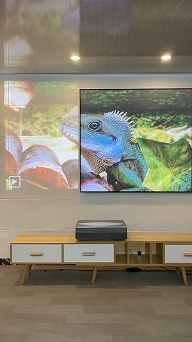 Generic Alr Screen For Ust Projector, 80 Inch Clr And Alr Fixed Frame Projector Screen Wall Mount 16:9 8K/4K 3D, Grey Projection Screen thumb #3