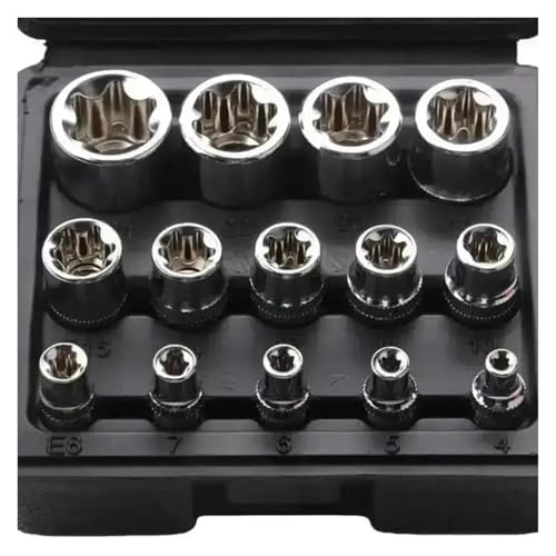 Set de 14 piezas dados Female E Torx con estuche miniatura 6