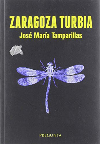 Zaragoza turbia