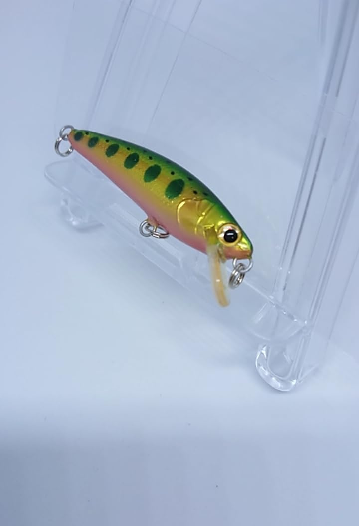 Amazon.co.jp: 別注 ショップオリカラ スカジットデザインズ チップ 