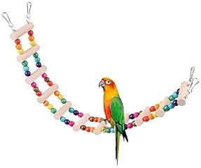 鳥用はしご - Amazon.co.jp