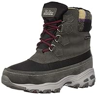 Algopix Similar Product 11 - Skechers Womens DLitesMid Hiker Lace