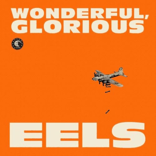 Cover Wonderful, Glorious