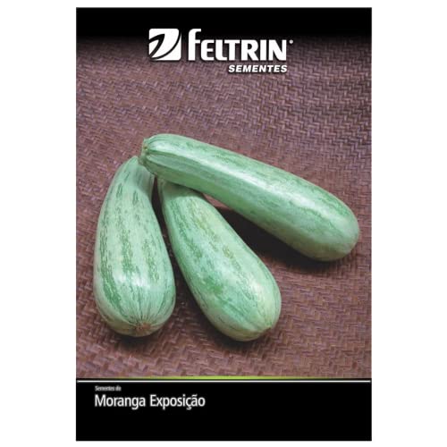 Kit 4 Sementes Legumes Horta Em Casa Jardins Vasos (Cenoura, Rabanete, Tomate, Abóbrinha)