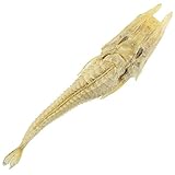 Visitez notre boutique Naturosphère, sur le concept de l'objet naturel - Bijoux naturels - Minéraux et fossiles - Mer et coquillages - Décoration végétale