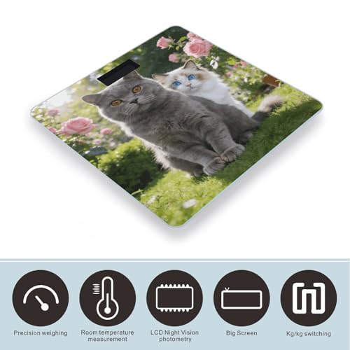 Báscula digital de baño con pantalla LED y plataforma de vidrio templado miniatura 3