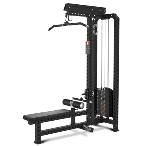 Commercial Lat Pulldown/Low Row Combo