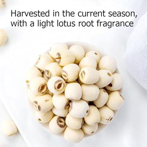Dried white lotus seed 10.58 oz Hollow dried lotus seed 300g