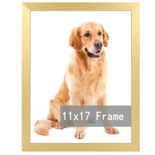 RUN HELIX 11x17 Picture Frame for 11by17 Poster Photo Canvas Certificate Black High Transparent Poster Frame Wall Desktop Horizontal Vertical 11 x 17 Gold